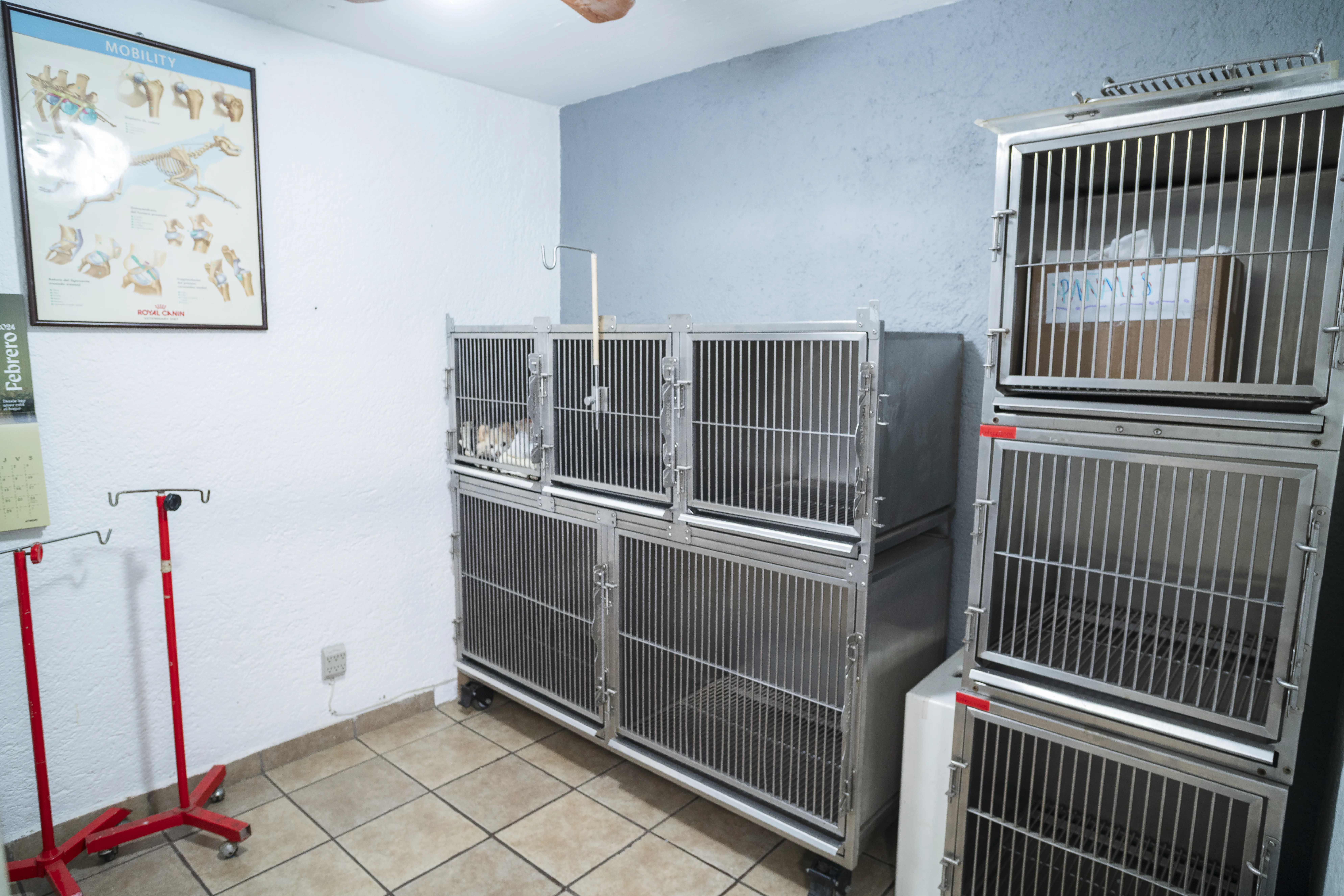 Área de Hospitalización