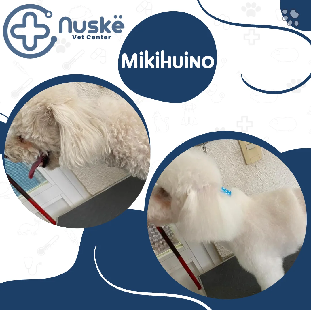 Mikihuino