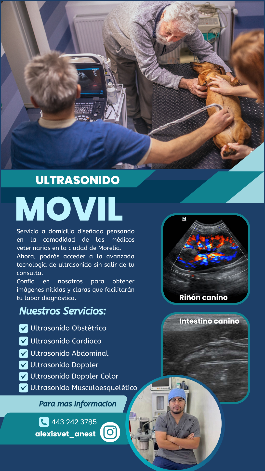 Ultrasonido Veterinario